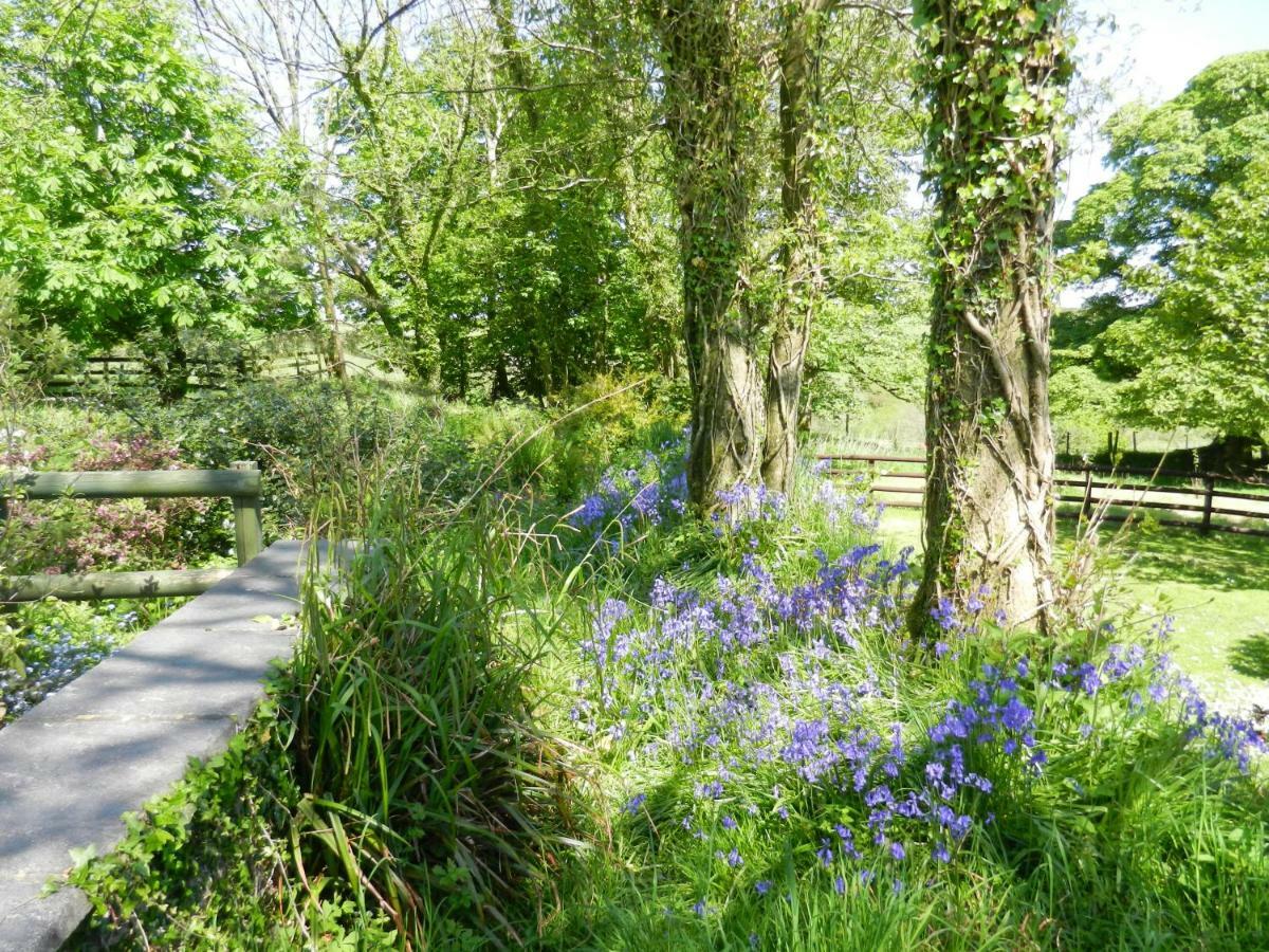 Cilwen Country House Bed And Breakfast Abernant 外观 照片