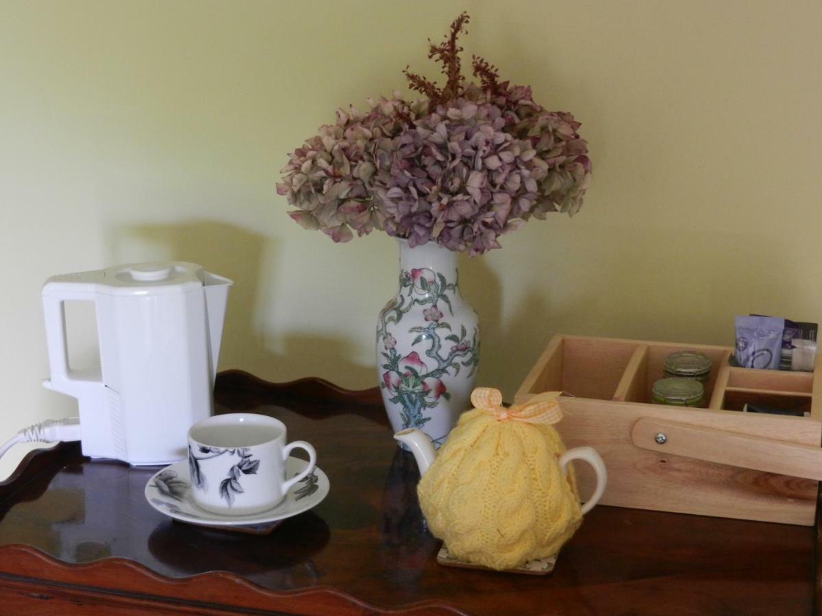 Cilwen Country House Bed And Breakfast Abernant 外观 照片