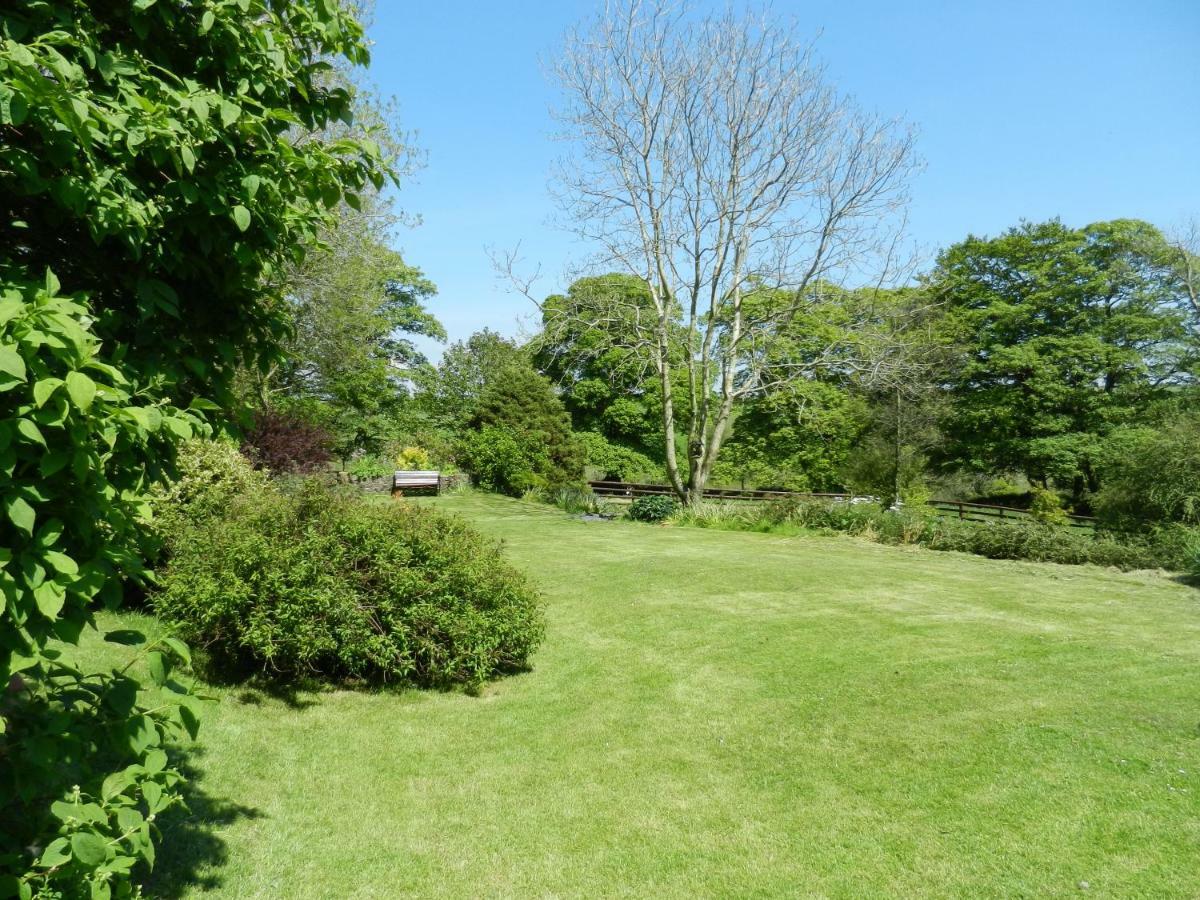 Cilwen Country House Bed And Breakfast Abernant 外观 照片
