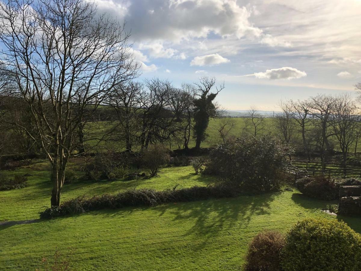 Cilwen Country House Bed And Breakfast Abernant 外观 照片